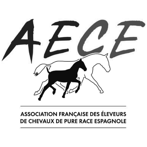 AECE_logo_RVB_300dpi-768x584-2.png