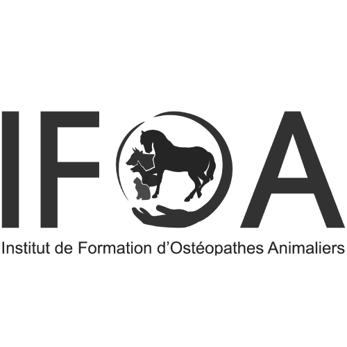 logo-ifoa-final-01-e1676469505969-2.png